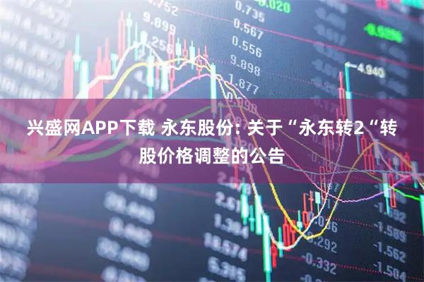 兴盛网APP下载 永东股份: 关于“永东转2“转股价格调整的公告
