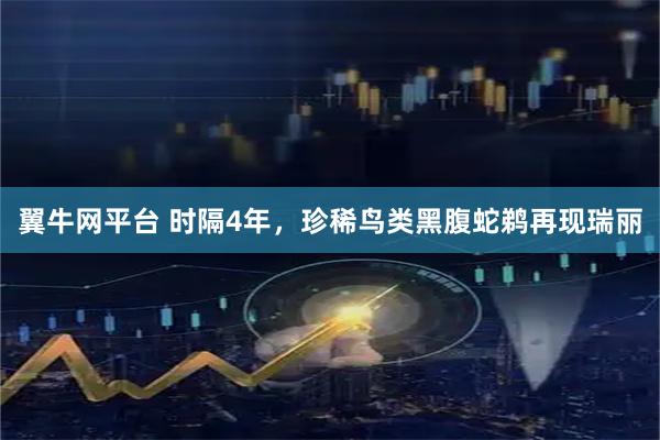 翼牛网平台 时隔4年，珍稀鸟类黑腹蛇鹈再现瑞丽