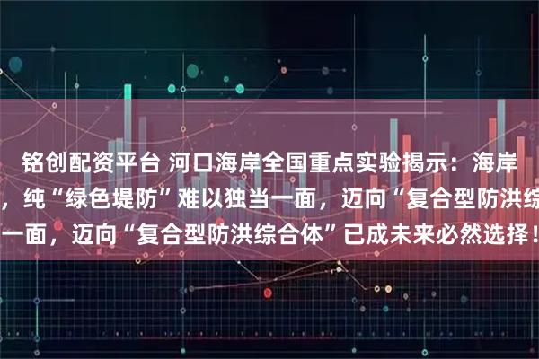 铭创配资平台 河口海岸全国重点实验揭示：海岸生态系统存在天然局限，纯“绿色堤防”难以独当一面，迈向“复合型防洪综合体”已成未来必然选择！